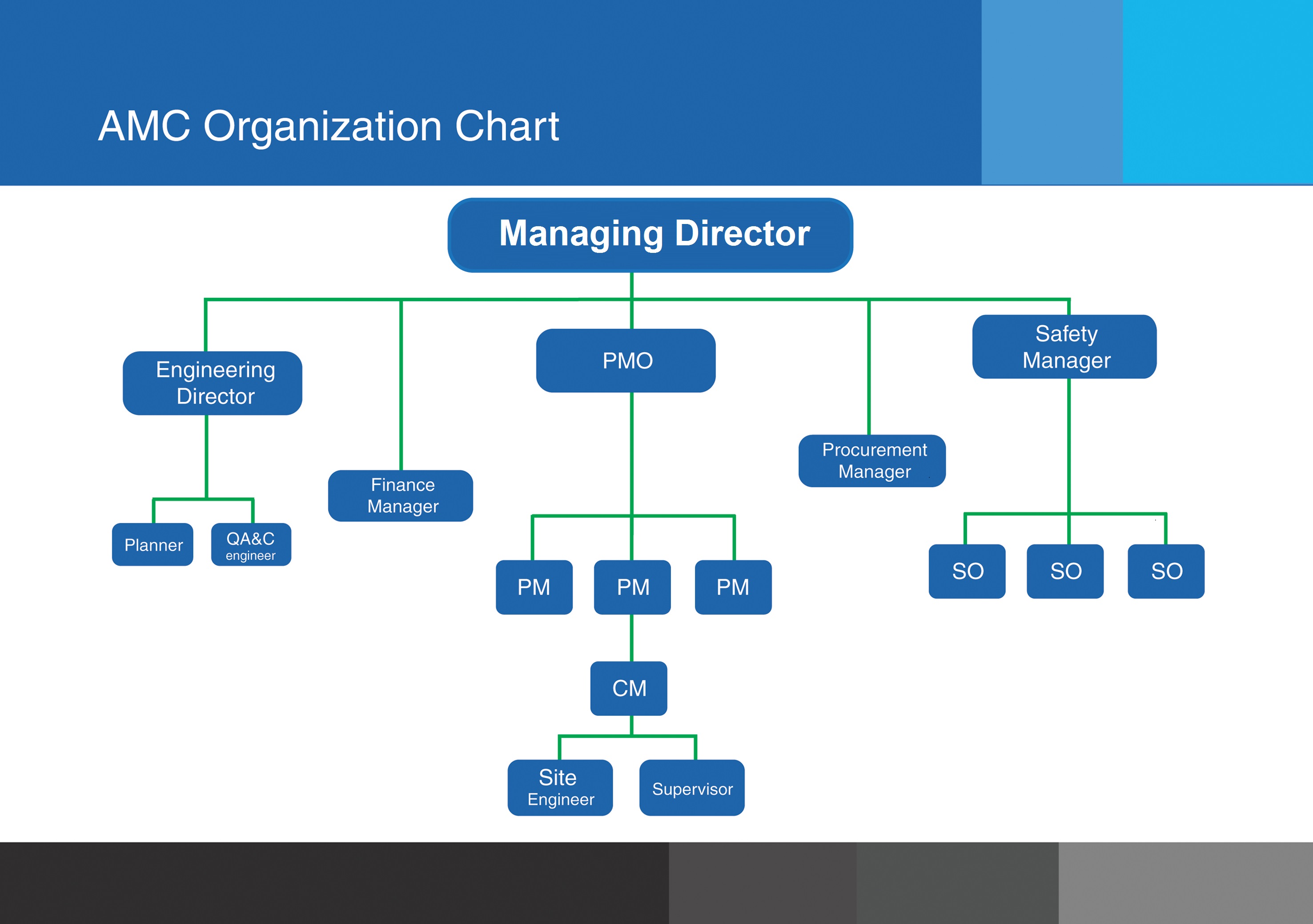 Amc Organization Chart